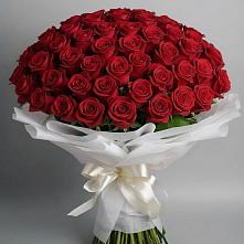 Букет 101 Красная роза Блэк Мэджик в Сосенском