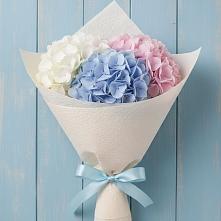 Букет цветов из:  Гортензия в Сосенском
