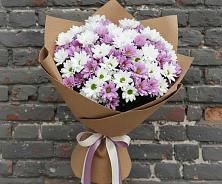 Букет цветов из:  Хризантемы в Сосенском