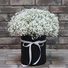Цветочная композиция из Гипсофила в шляпной коробке в Сосенском