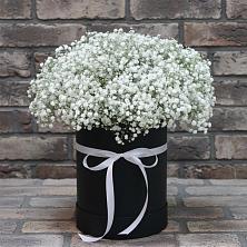 Цветочная композиция из Гипсофила в шляпной коробке в Сосенском