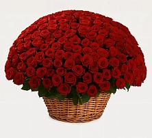 Премиум букет из: Розы #REPLACE_PRED# Сосенском